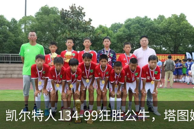 凯尔特人134-99狂胜公牛，塔图姆23+7+6，普里查德28分