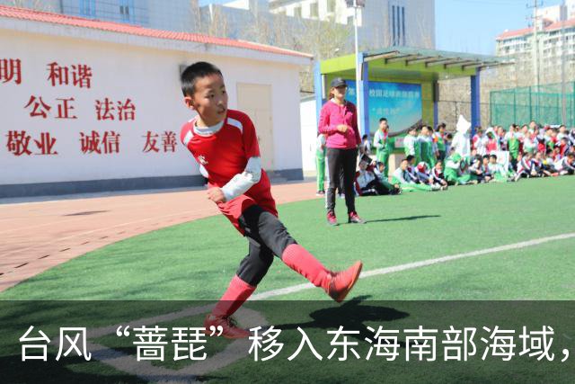 台风“蔷琵”移入东海南部海域，4地防汛防台风四级应急响应持续