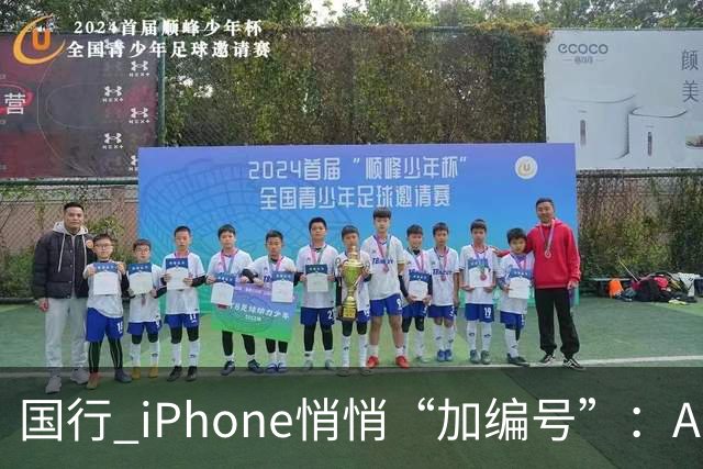 国行 iPhone悄悄“加编号”：Apple 智能 + 通义千问现身入网信息，苹果中文 AI 终于要落地？