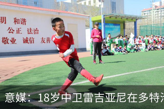 意媒：18岁中卫雷吉亚尼在多特沦为边缘人，AC米兰有意替代加比亚