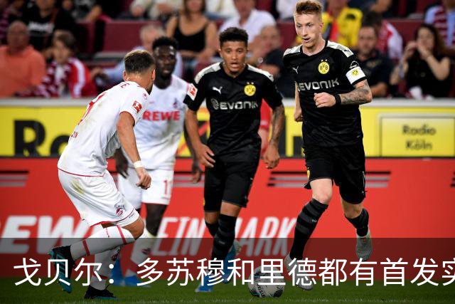 戈贝尔：多苏穆和里德都有首发实力 阵容调整后我的角色变化不大