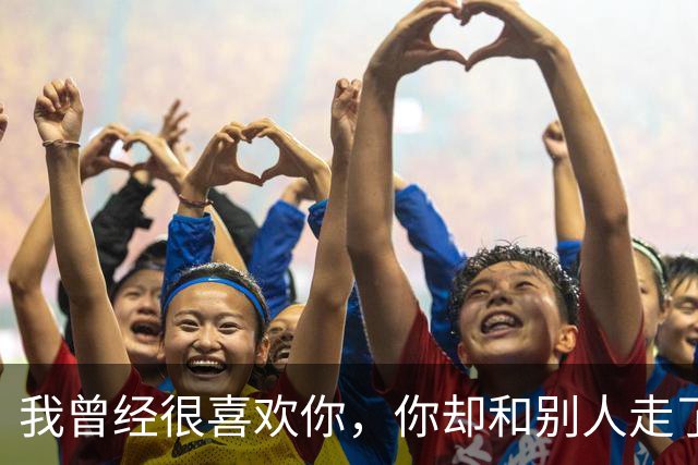 我曾经很喜欢你，你却和别人走了