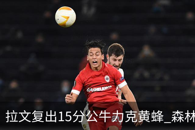 拉文复出15分公牛力克黄蜂 森林狼大胜火箭