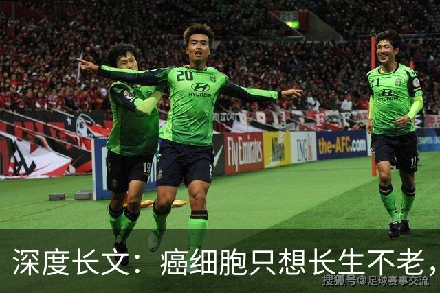 深度长文：癌细胞只想长生不老，人类跟这个叛徒到底打了一场什么仗？