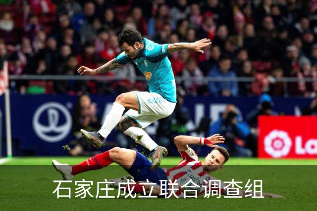 石家庄成立联合调查组