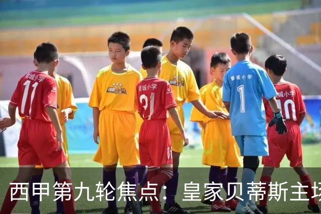 西甲第九轮焦点：皇家贝蒂斯主场迎战巴塞罗那——汉斯·弗里克与佩莱格里尼的高压对决