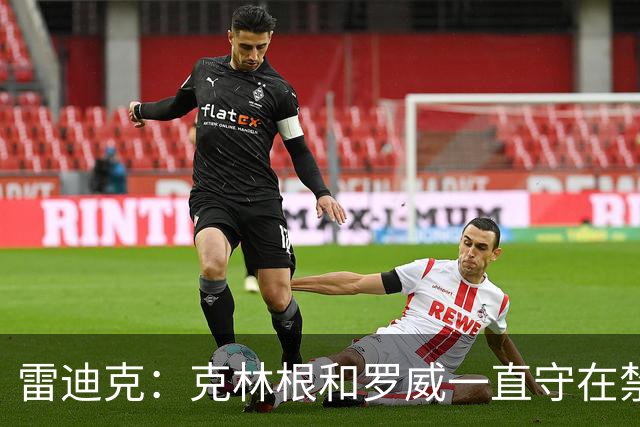 雷迪克：克林根&罗威一直守在禁区 让我们很难在篮下得分