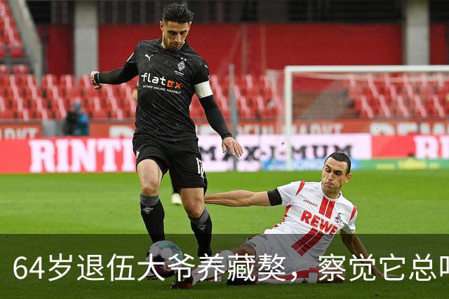 64岁退伍大爷养藏獒，察觉它总叼袜子去阳台，专家：不好，快送走